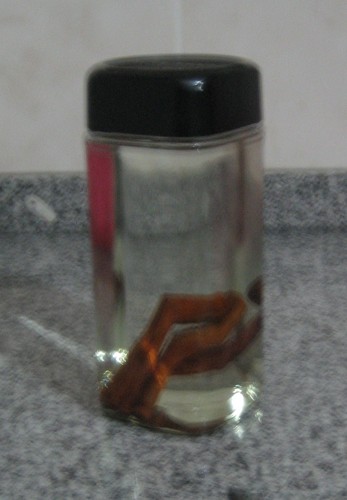 Sugestão para o Natal – Licor de canela